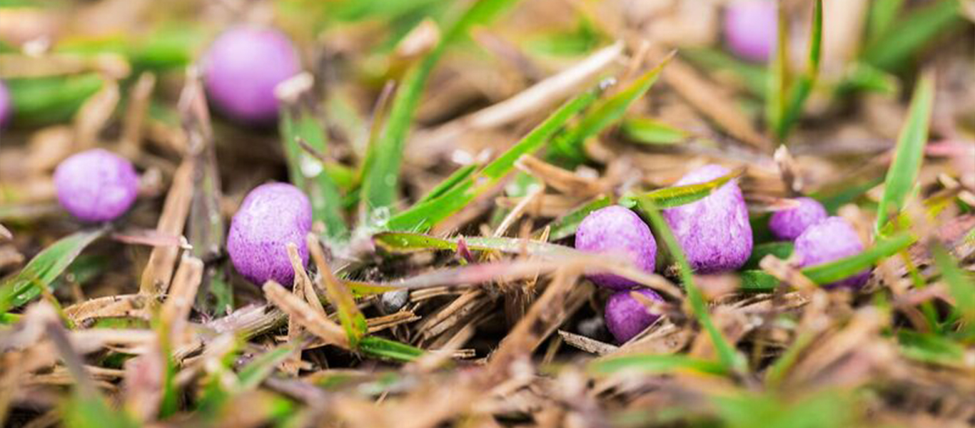 agricultureproductbanner1366x600liquitintagrojpg