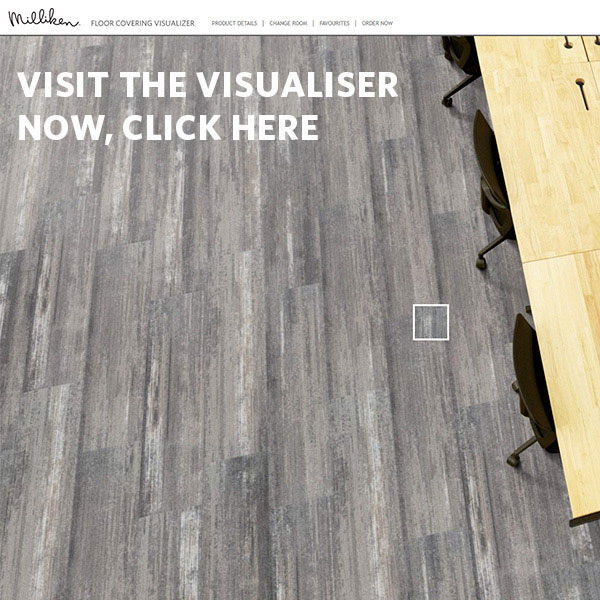 Launch the Visualiser