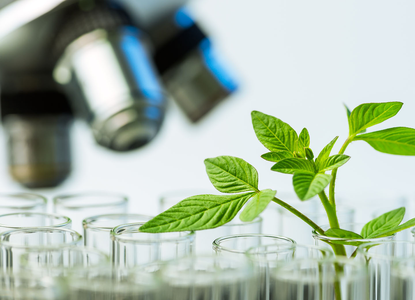 Sustainable Product Process